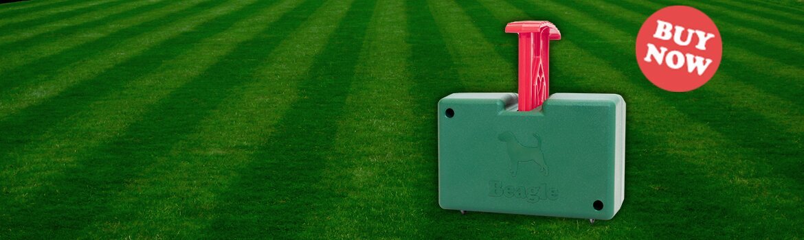 Beagle-homepage-slider-7